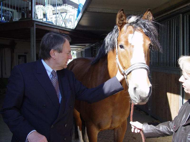 Zuschuss therapeutisches Reiten | Copyright: Main-Taunus-Stiftung Zuschuss therapeutisches Reiten